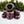 Formula Holythane (56MM/97a) Lock-in Roller-Skate Wheels