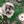 Last Pupper Wheel Pet Toy