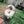 Last Pupper Wheel Pet Toy