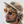 All Seeing Eye Hat Limited Edition
